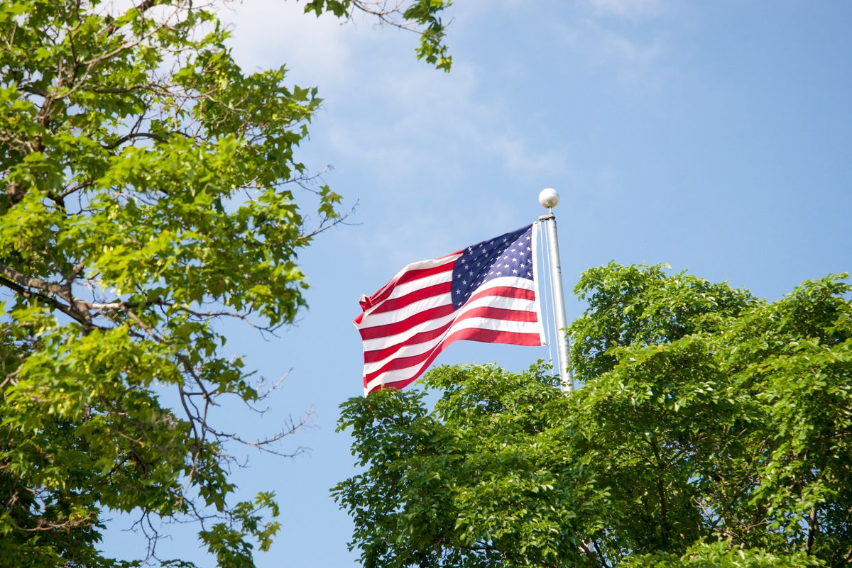 An American flag flying among trees